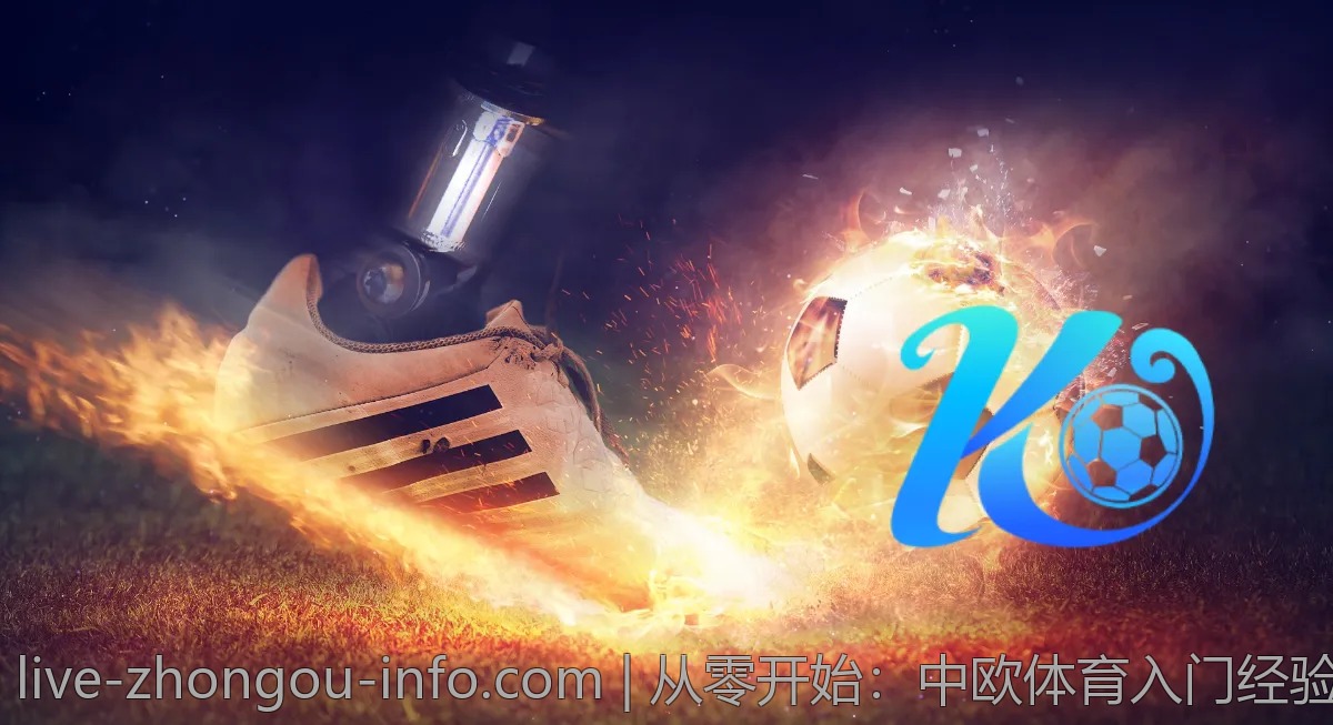 从零开始:中欧体育入门经验分享