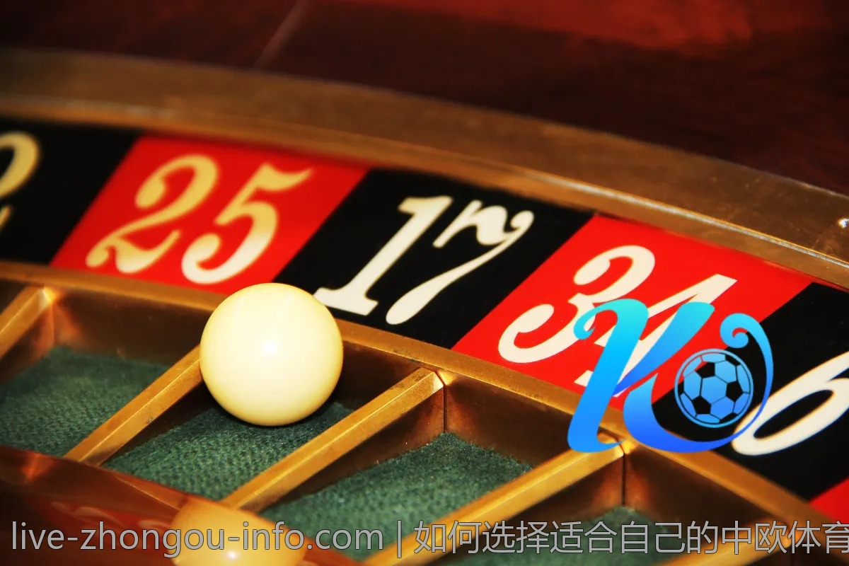 如何选择适合自己的中欧体育平台?
