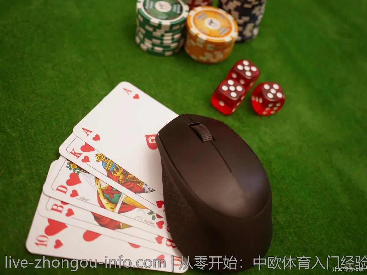 从零开始：中欧体育入门经验分享