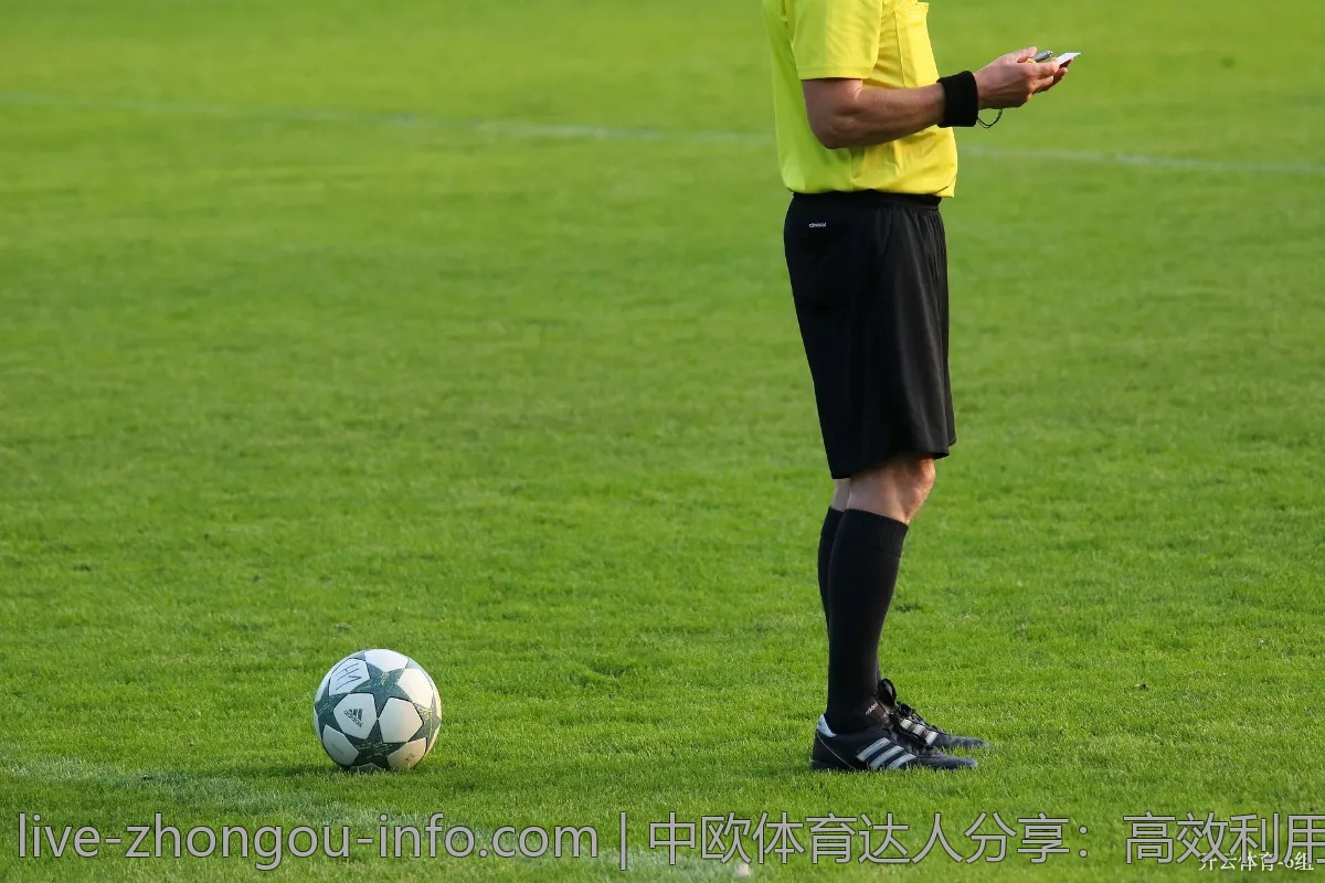 探讨:中欧体育对市场的影响力