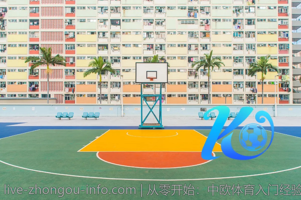 从零开始：中欧体育入门经验分享
